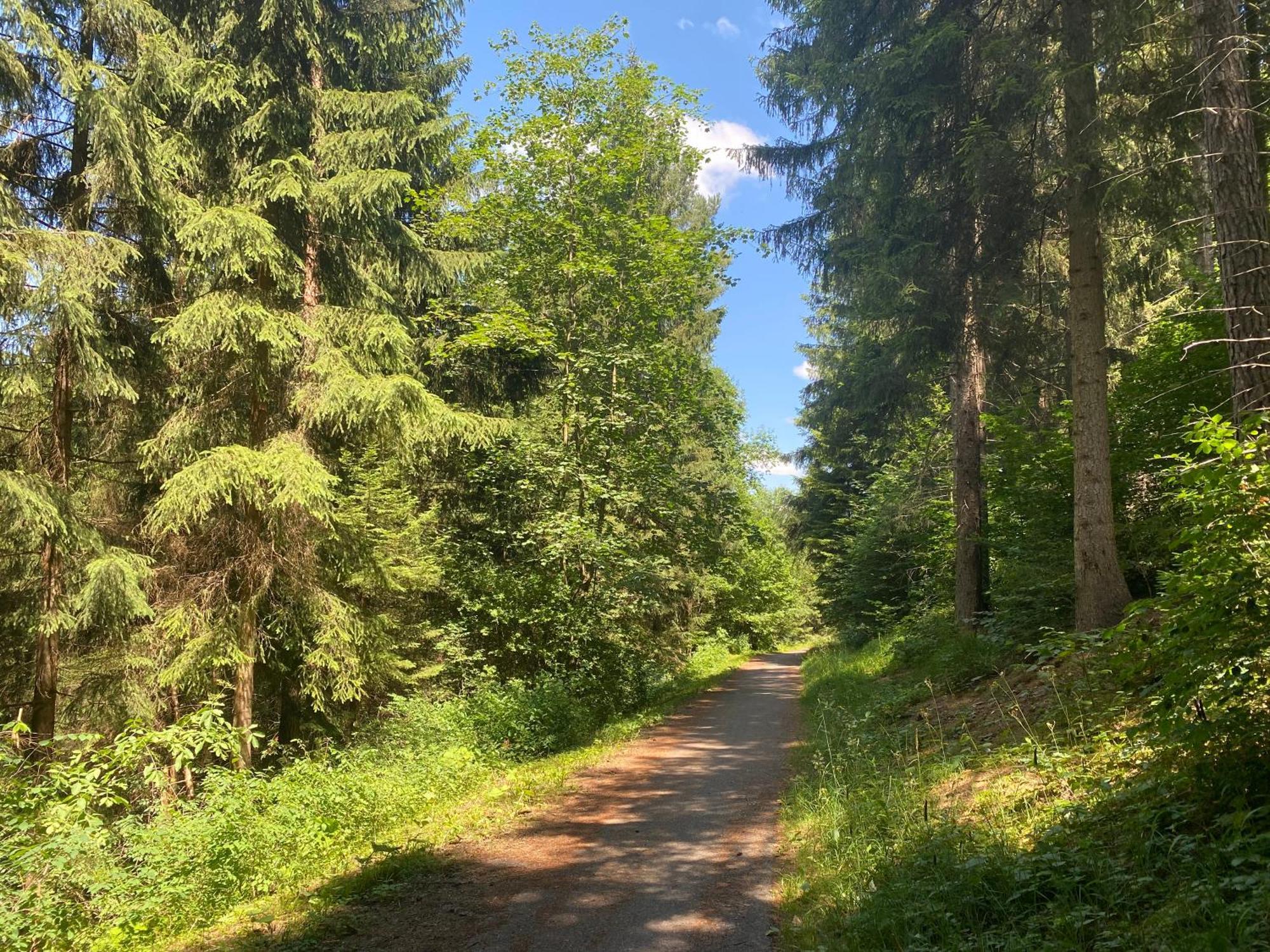 Fewo-Turmblick-Rottweil Exterior foto