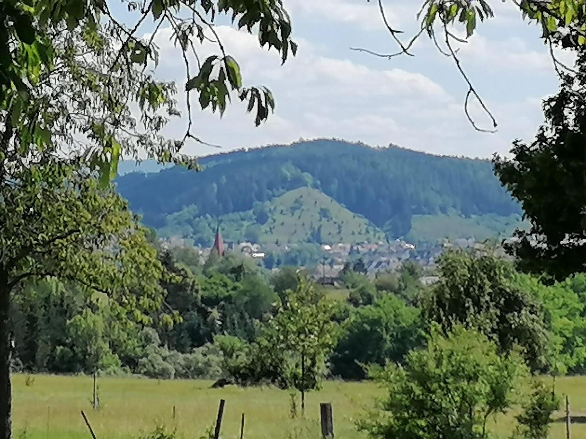 Fewo-Turmblick-Rottweil Exterior foto